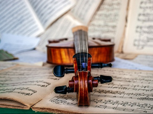 Свирај свирче - Виолина