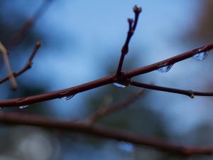 Пред нама променљив Бадњи дан – у нижим пределима ред облака и кише, на планинама снег