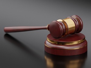 Душку Тошићу изречена забрана приласка супрузи Јелени Карлеуши