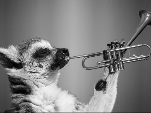 Зоо симфонија: Пингвин 