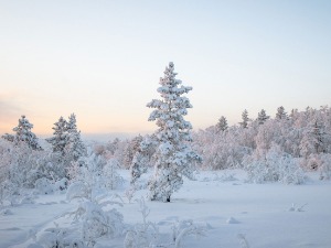 РХМЗ упозорава на велику количину снега 