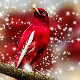 Новогодишње Гласне жице