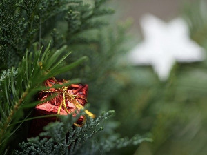  Новогодишњи концерт, р. 