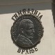 Историја врањске, Борине гимназије писана златним словима
