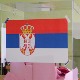 Димитријевић: РИK спреман за референдум на KиМ, чекамо одговор надлежних