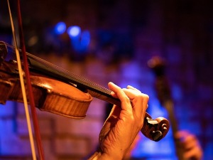 Пети „Роси фест"