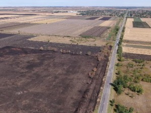 Најскупље њиве су оне које се не користе, више од 1.300 хектара запарложеног државног земљишта