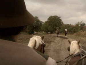  1001 Траг - Нема више Цицварића - Радиша Марковић 