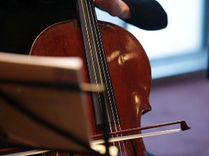 Кијан Солтани, виолончело