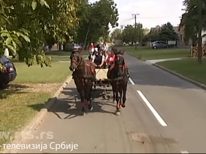  1001 Траг - Фијакерист - Шајка 