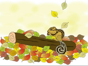 	Добро јутро децо: Стидљива веверица