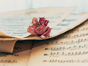 Променада - Војвођанске златне жице 2006.