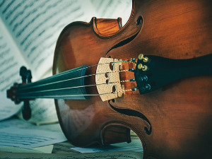 	Свирај свирче - Виола 