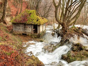 Станко Костић о фотографији: Није важна оштрина, већ осећање човека иза објектива