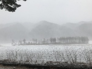 Облачно током дана, увече снег