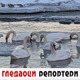 Гледаоци репортери (31. јануар 2022)