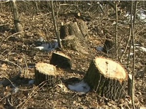 Шумокрадице пуцале на припаднике МУП-а на административној линији са КиМ