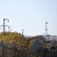 Турска, смрзнута тела 12 избеглица пронађена поред пута