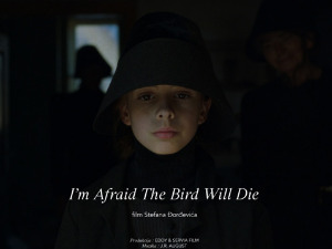 Премијерно приказан музички филм Стефана Ђорђевића