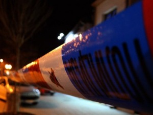 Погинуо младић на Златибору, аутомобил букнуо док је био у покрету