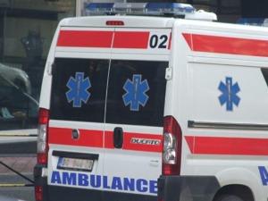 Питбул напао двоје деце у Чачку