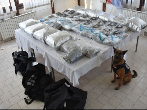 У Новом Пазару заплењено више од 60 килограма дроге, ухапшена петорица осумњичених