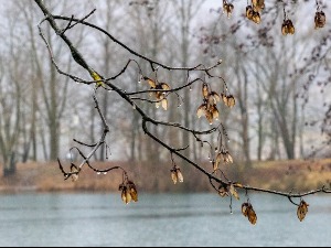 Зими није крај, данас наоблачење са кишом и пад температуре 