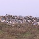 Затворена градска депонија у Руми 