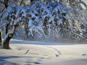 	Добро јутро децо: Песма се чује даље од ветра