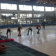 Софија Родић из Ниша, шампионка без клизалишта 
