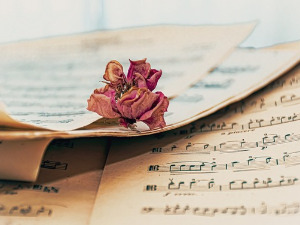 	Променада - Вогошћа 1986. 