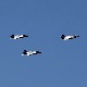 Финска купује 64 борбена авиона Ф-35 од САД