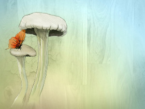 	Добро јутро децо: Вила 