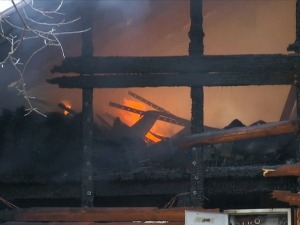 Локализован пожар на Ади Циганлији