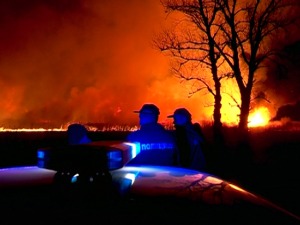 Гори стари рибњак у Футогу, неприступачан терен и ветар отежавају гашење