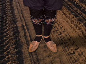  1001 Траг - Бојерка - Властимир Павловић Царевац 