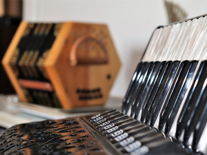 Свирај свирче - Хармоника дугметара 