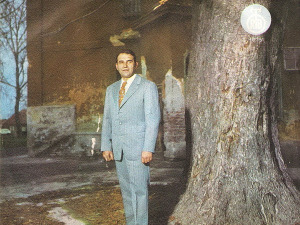 	Медаљон - Перо Николин 