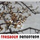Гледаоци репортери (3. март 2022)