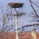 Зашто је Средњи Банат најмање насељен у Војводини?  