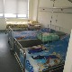 Три бебе заражене бактеријом, затворена Гинекологија у Аранђеловцу 