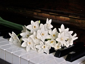 Клавирски концерт Кларе Шуман