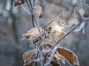  Облачно са снегом и кишом, али се и сунце помаља