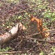 Како сачувати пољопривредна имања од штета и крађа