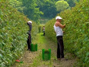 Јутарњи програм из три студија