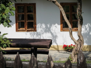  1001 Траг - Димитријо сине Митре - Василија Радојчић 