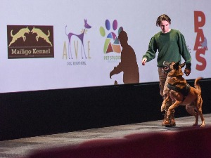 Интелигентна раса паса, која служи и жандармерији, показала трикове дресуре и у Србији