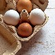 Рат у Украјини угрожава производњу јаја у Аустрији