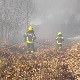 Локализован пожар у Суботици, горела трска и ниско растиње
