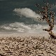 Више од 60 одсто територије САД биће погођено сушом ове године